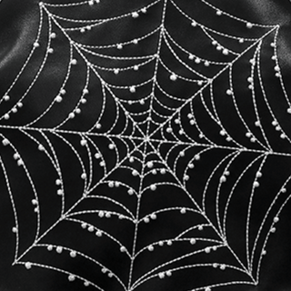 Spiderweb embroidered Kisslock Bag