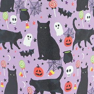 Summerween Kitty Wallet